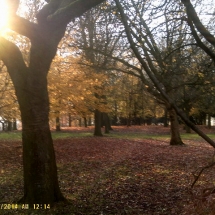 Albert Park